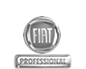 Fiat professional fratellicosti